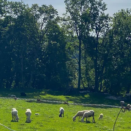 Privatunterkunft Ca Renzon Stanza In Rustico Di Campagna Vicino Al *